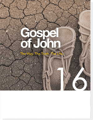 gospel of john 4