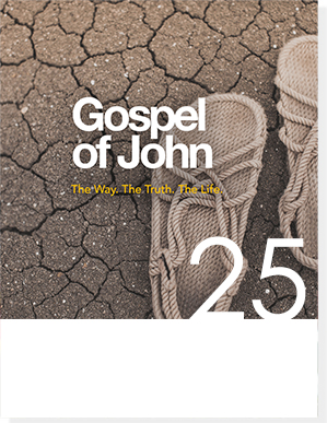 gospel of john 1