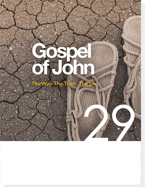 gospel of john 5