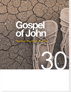 gospel of john 6