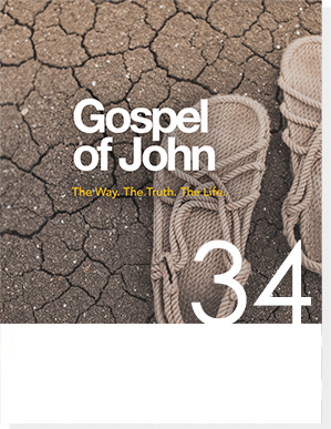 gospel of john 10