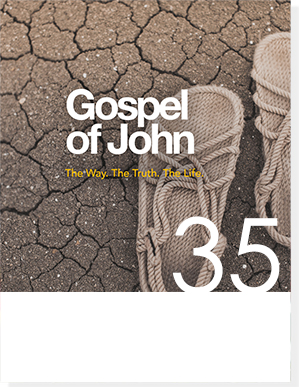 gospel of john 10