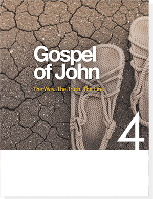 gospel of john 3