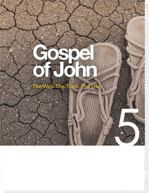 gospel of john 1